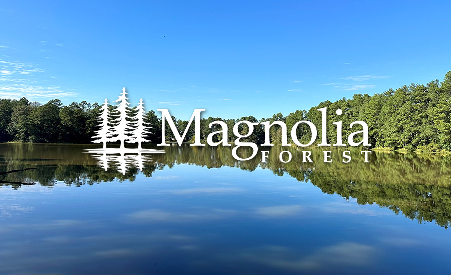 Magnolia Forest Texas