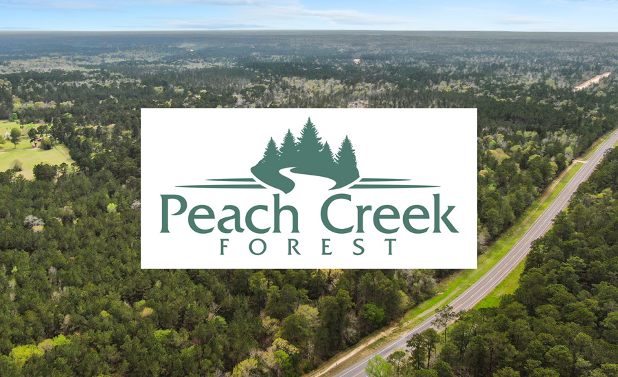 Peach Creek Forest