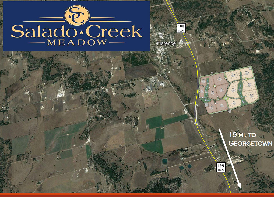 Salado Creek Meadow Overview