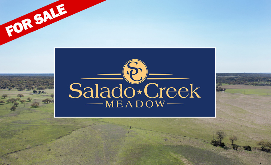 Salado Creek Meadow